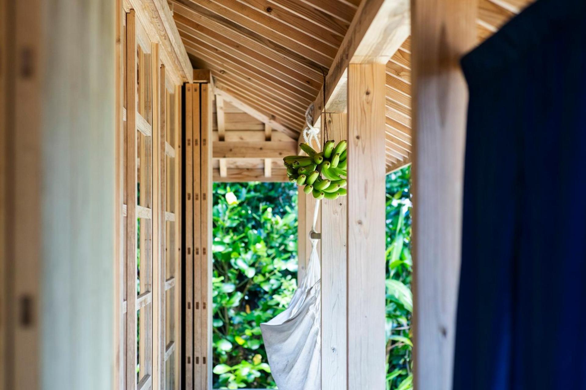 フクギに囲まれた家 さばんぎ沖縄古民家 Savangi Okinawan Designed Folk House Nakijin Εξωτερικό φωτογραφία
