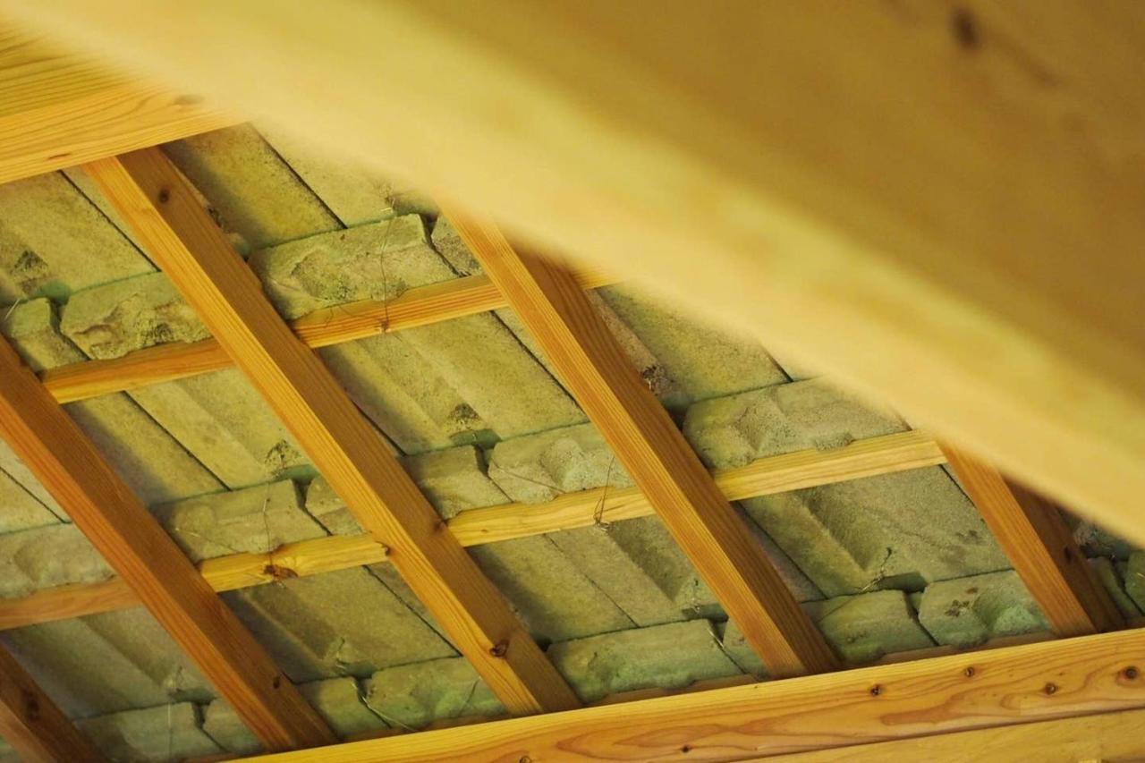 フクギに囲まれた家 さばんぎ沖縄古民家 Savangi Okinawan Designed Folk House Nakijin Εξωτερικό φωτογραφία
